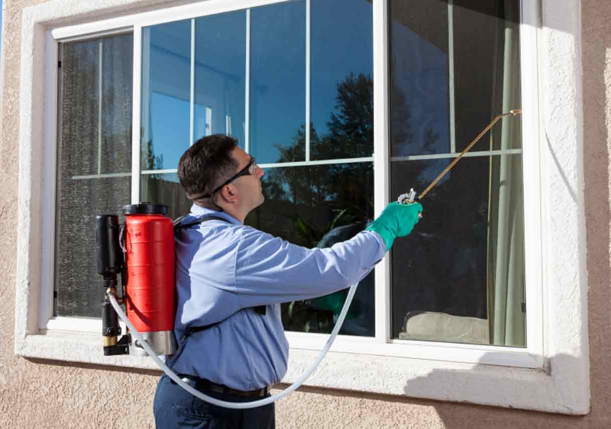 A pest control technician wearing gloves inspects a bed frame and mattress edge with a flashlight in a bedroom